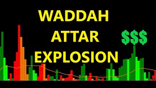 How I Trade With The WAE Indicator  Waddah Attar Explosion Explained [upl. by Acacia]