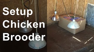 Set Up the Chicken Brooder [upl. by Irab]