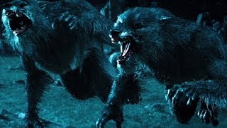 Top 10 Werewolf Movies REDUX [upl. by Buell]