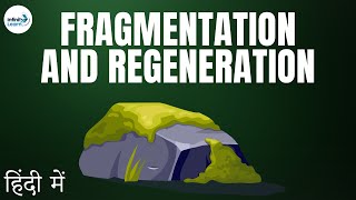 Reproduction  Lesson 12  Fragmentation and Regeneration  in Hindi हिंदी में   Dont Memorise [upl. by Waylon]