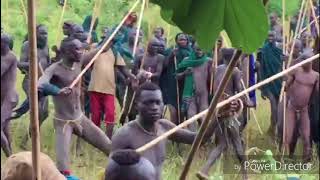 Brutal traditions of the surma Tribes Ethiopia [upl. by Naaman120]