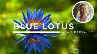 Blue Lotus  The Oil of Ascension [upl. by Nike382]