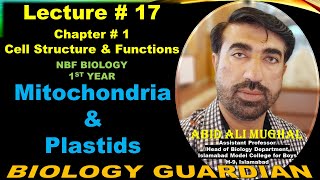 Mitochondria and Plastids Chloroplast Chromoplast and Leucoplast  Lecture 17 Ch 1 NBF Biology11 [upl. by Elidad]