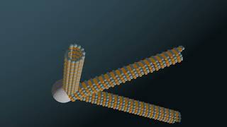 The microtubules animation with Blender 31 [upl. by Tonl]