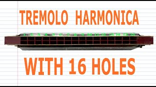 How to Play a Tremolo Harmonica with 16 Holes [upl. by Veriee]