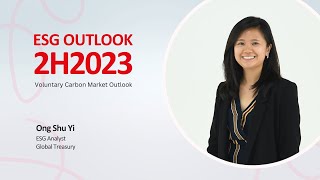 Voluntary Carbon Market Outlook [upl. by Valery134]