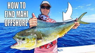 HOW TO FIND MAHI  Fishing for Pelagic Offshore Fish [upl. by Grory]