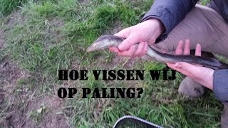 DFC  Hoe vissen wij op paling How do we fish for eel [upl. by Dionisio952]