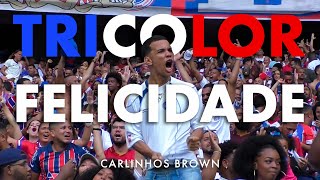 Tricolor Felicidade  Carlinhos Brown [upl. by Haimes]