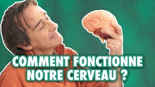 Comment le cerveau apprendil à lire   LEsprit Sorcier [upl. by Lyndes]