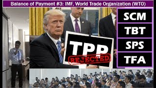 BoP3 Bretton Woods Organizations WTO Agreements IMF Gold Standard [upl. by Lema]