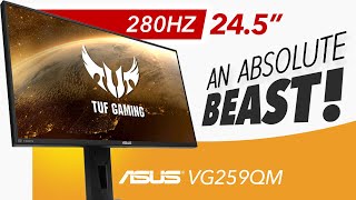 ASUS TUF VG259QM  An ABSOLUTE MONSTER  Detailed Review [upl. by Assetak]