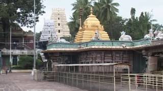 SRISAILAM MALLIKARJUNA SWAMY TEMPLE IN ANDHRA PRADESH  NALLAMALA FOREST [upl. by Oicnerolf]