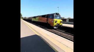 Trains at Tamworth Station September 2023 [upl. by Meagan]