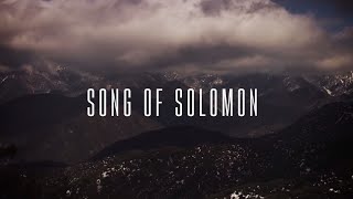 Song of Solomon Official Lyric Video  Martin Smith [upl. by Esinyt]